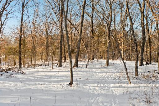 Lot 2 Central Drive NE, Cambridge, MN 55008