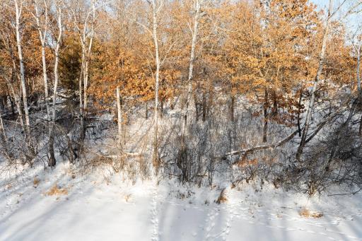 Lot 2 Central Drive NE, Cambridge, MN 55008