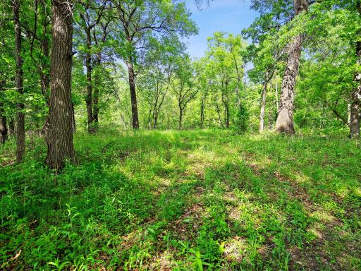 Lot 2 Central Drive NE, Cambridge, MN 55008