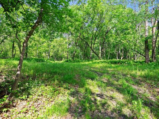 Lot 2 Central Drive NE, Cambridge, MN 55008