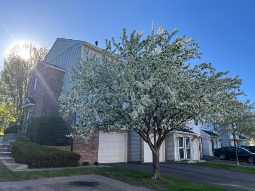 Two-story home with a gorgeous and fragrant crab apple tree.