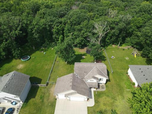 Heavily wooded park behind home