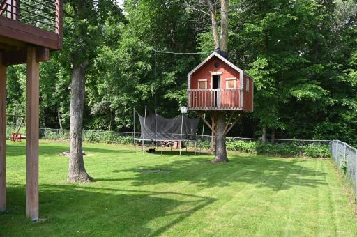 Tree house in back yard