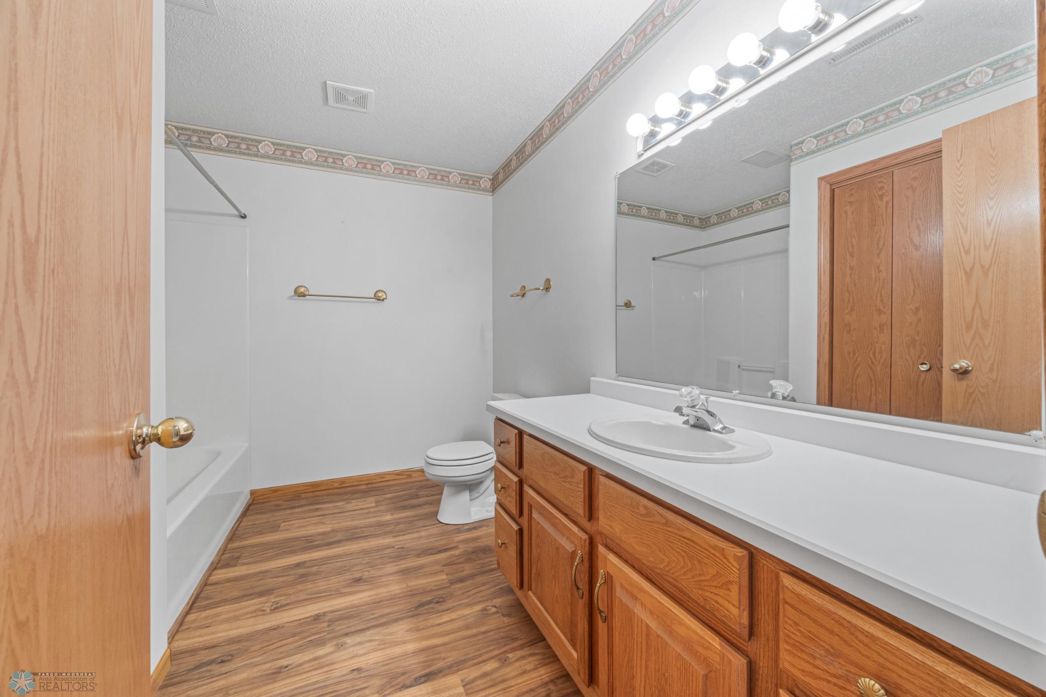 2nd full bathroom, lower level.