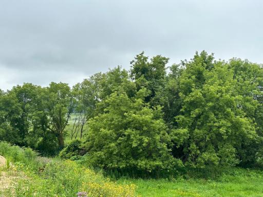 TBD County Road 43, Chaska, MN 55318