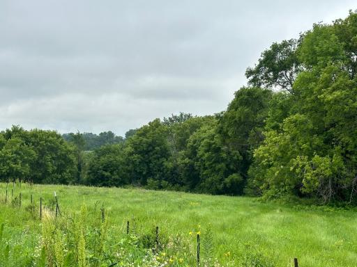 TBD County Road 43, Chaska, MN 55318