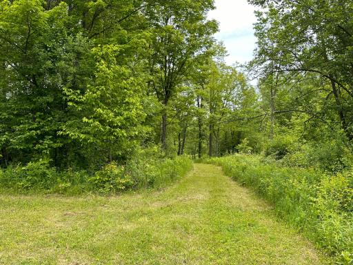 4984 Tower Road, Moose Lake, MN 55767