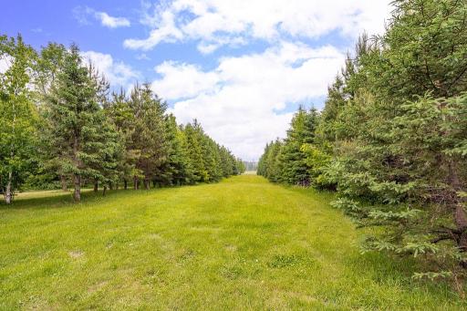 4984 Tower Road, Moose Lake, MN 55767