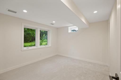 Large LL bedroom with huge walk-in closet