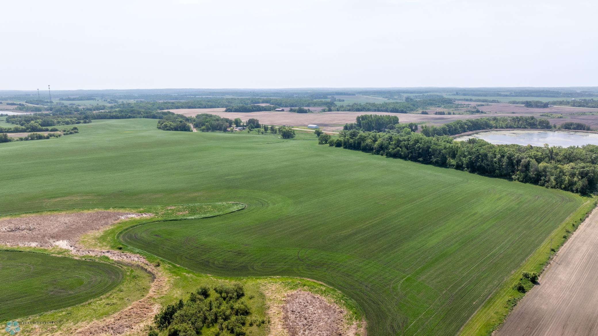 Amdak__Fosston MN - Land_0035.jpg