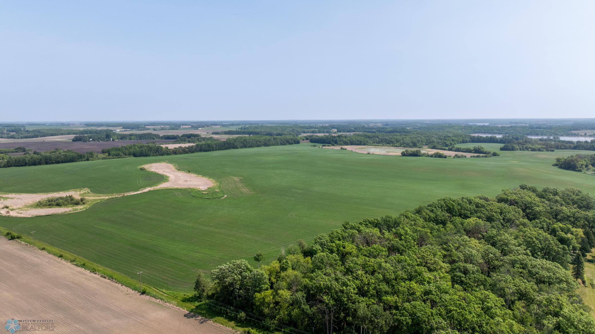 Amdak__Fosston MN - Land_0038.jpg