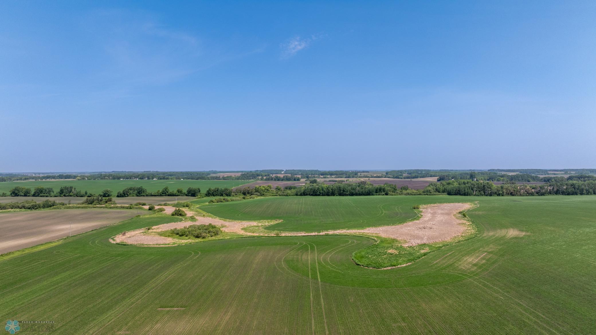 Amdak__Fosston MN - Land_0032.jpg