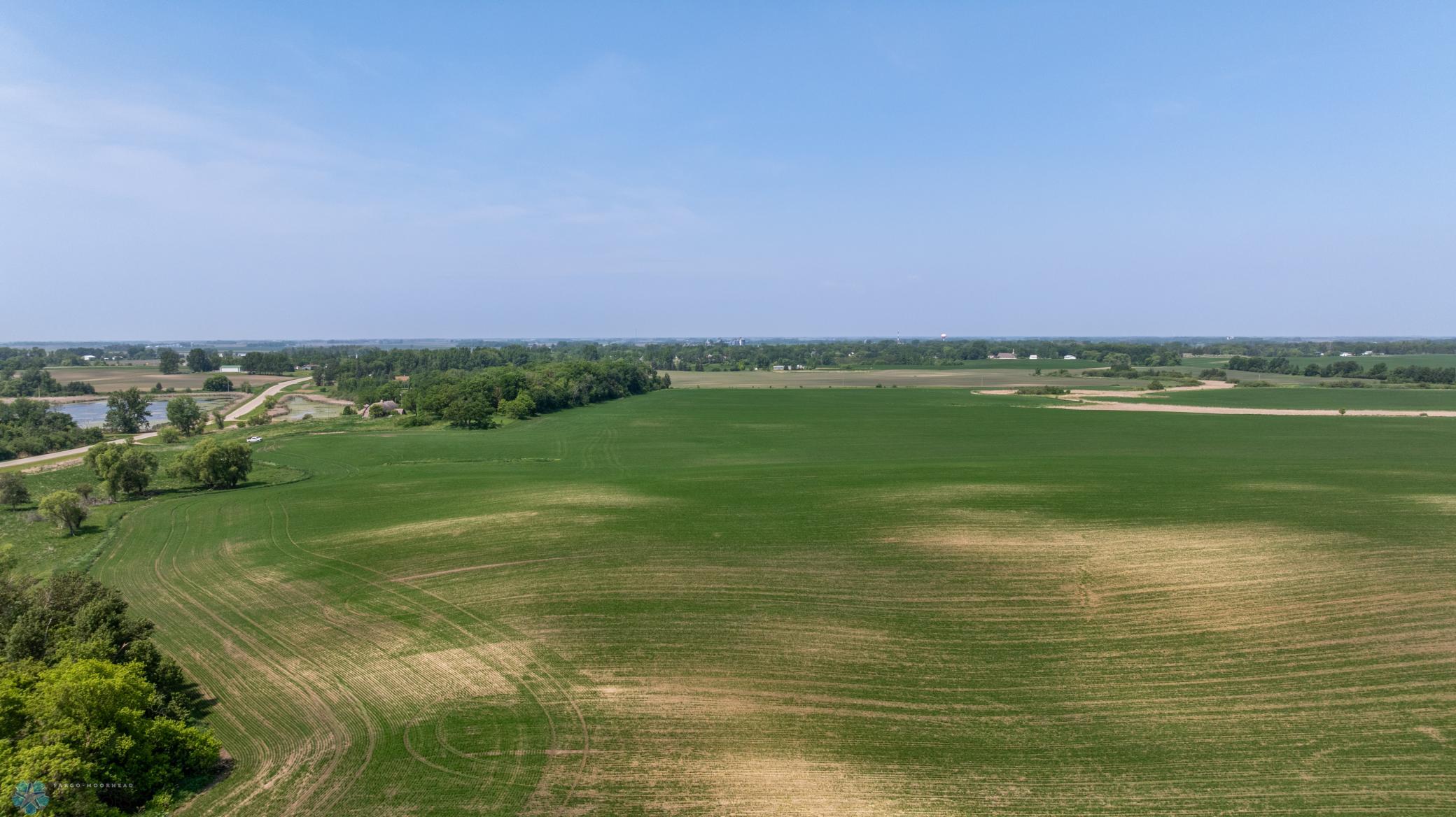 Amdak__Fosston MN - Land_0041.jpg