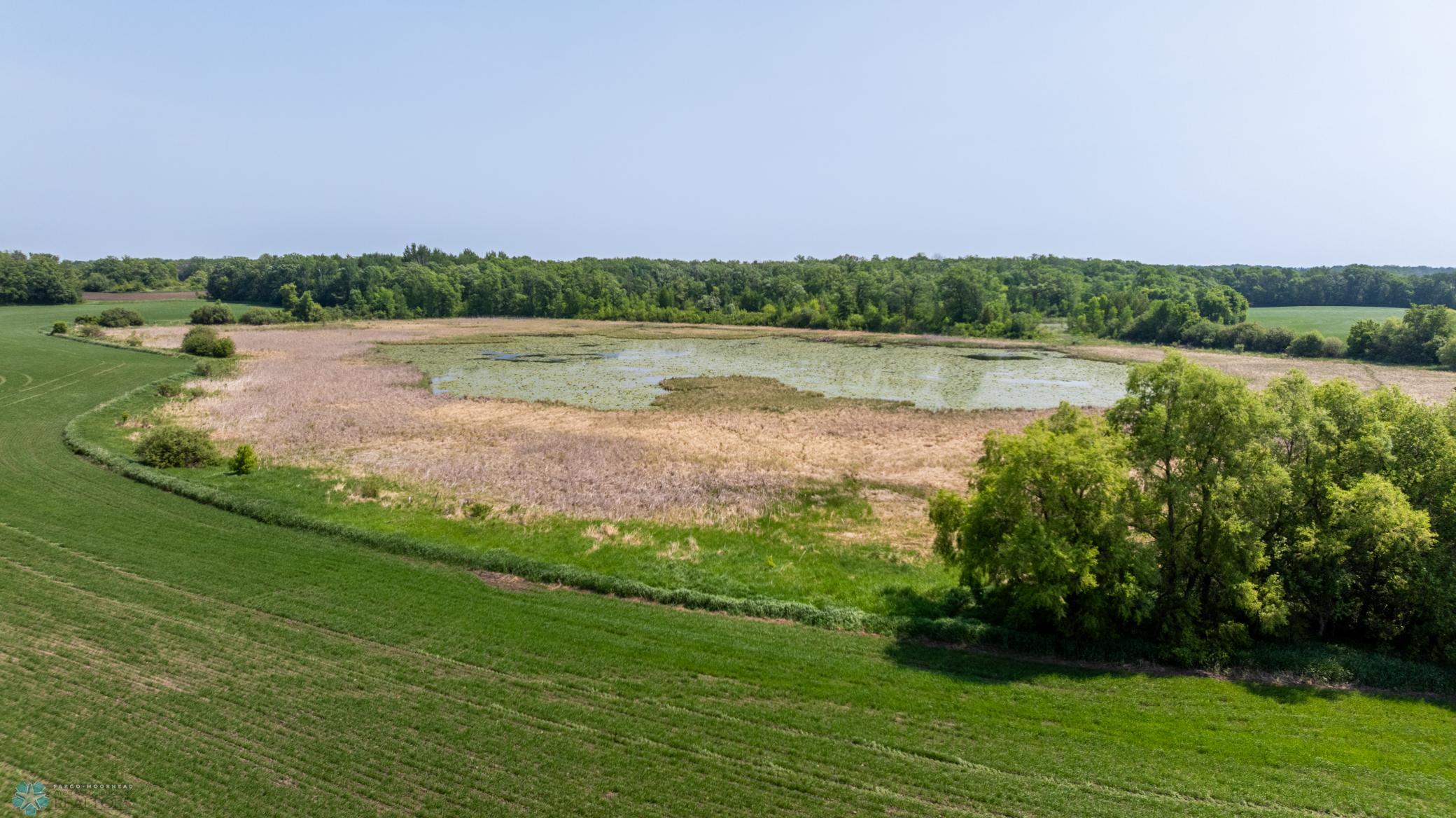Amdak__Fosston MN - Land_0039.jpg