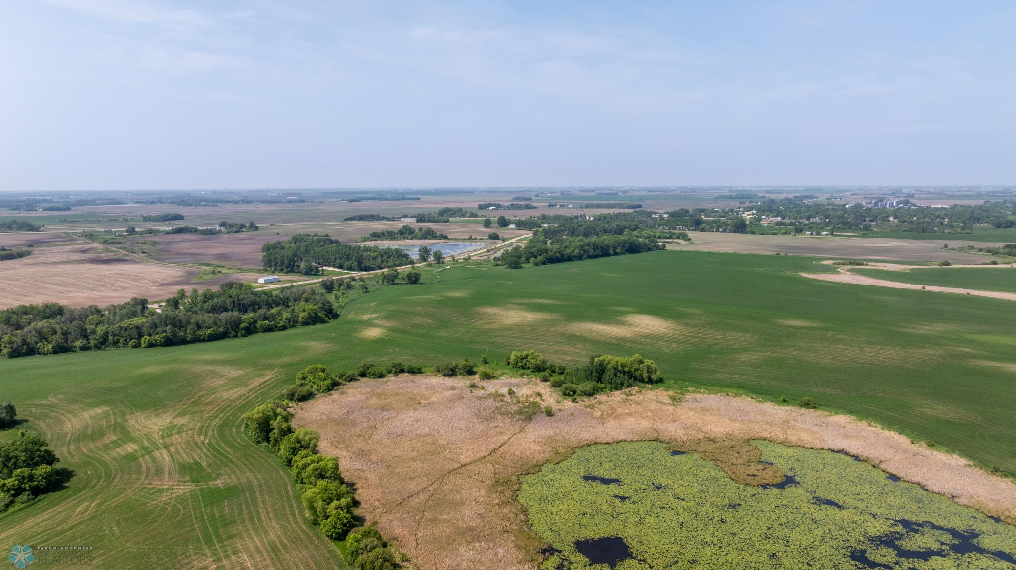 Amdak__Fosston MN - Land_0046.jpg