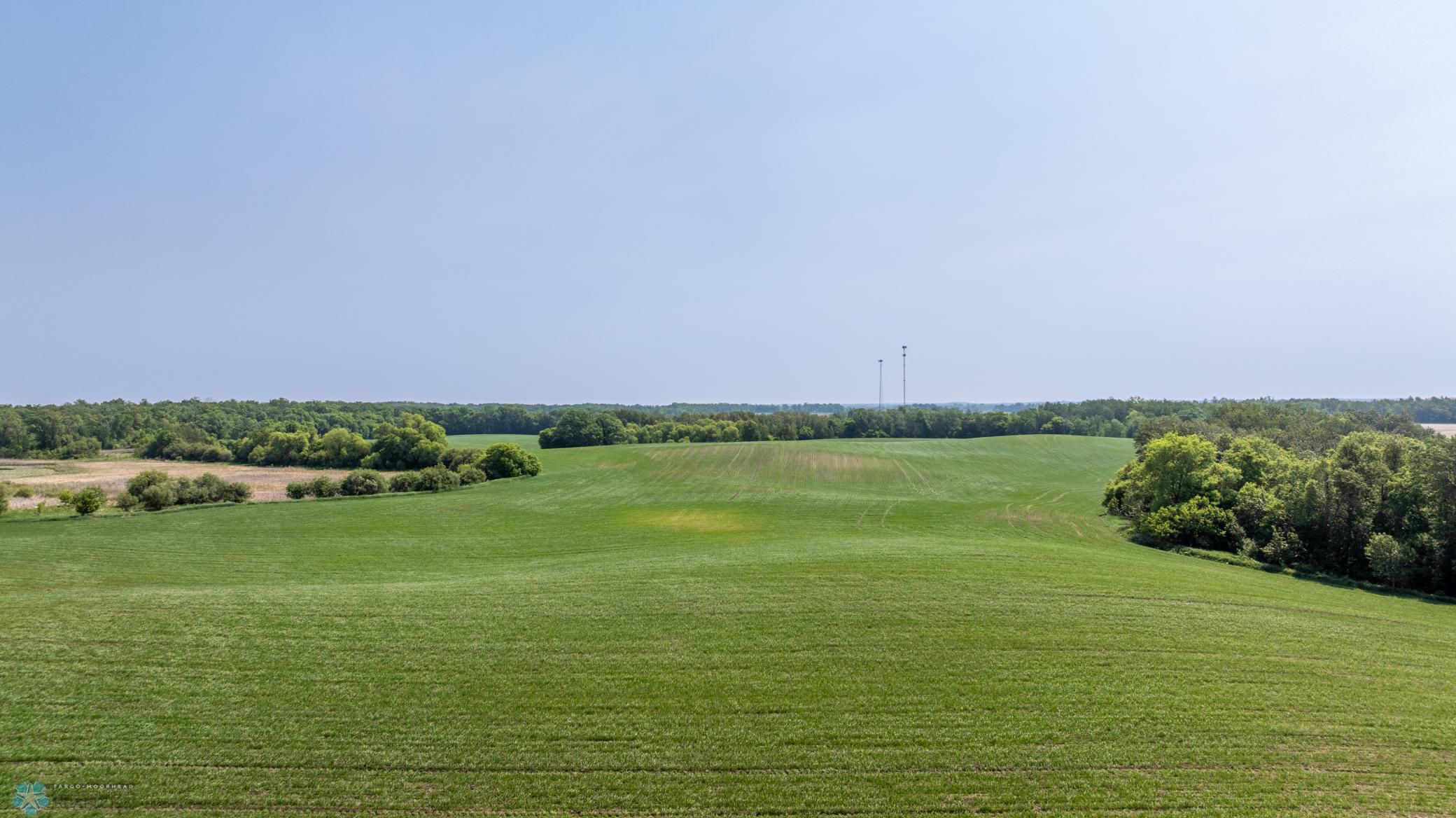 Amdak__Fosston MN - Land_0028.jpg