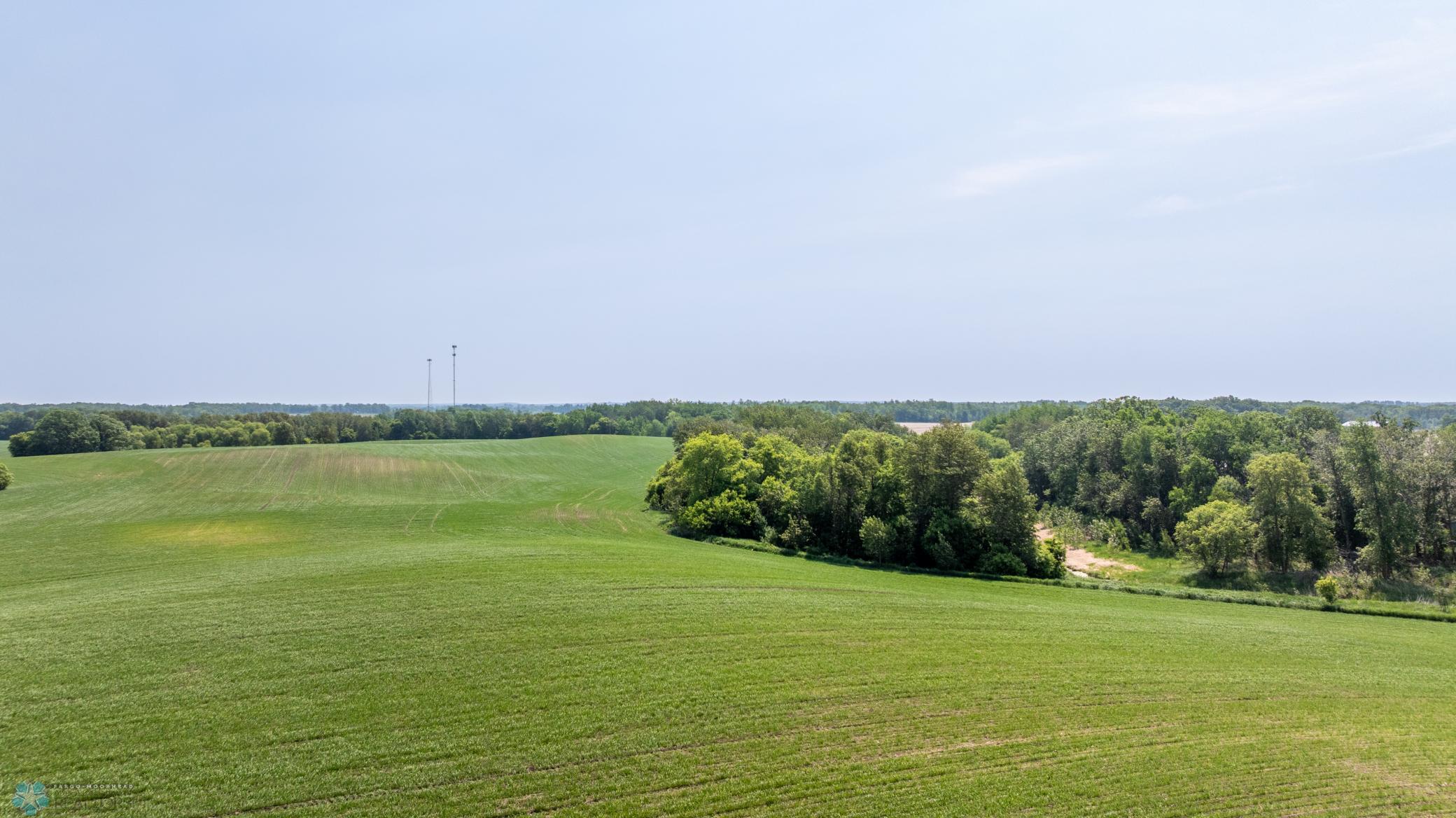 Amdak__Fosston MN - Land_0029.jpg