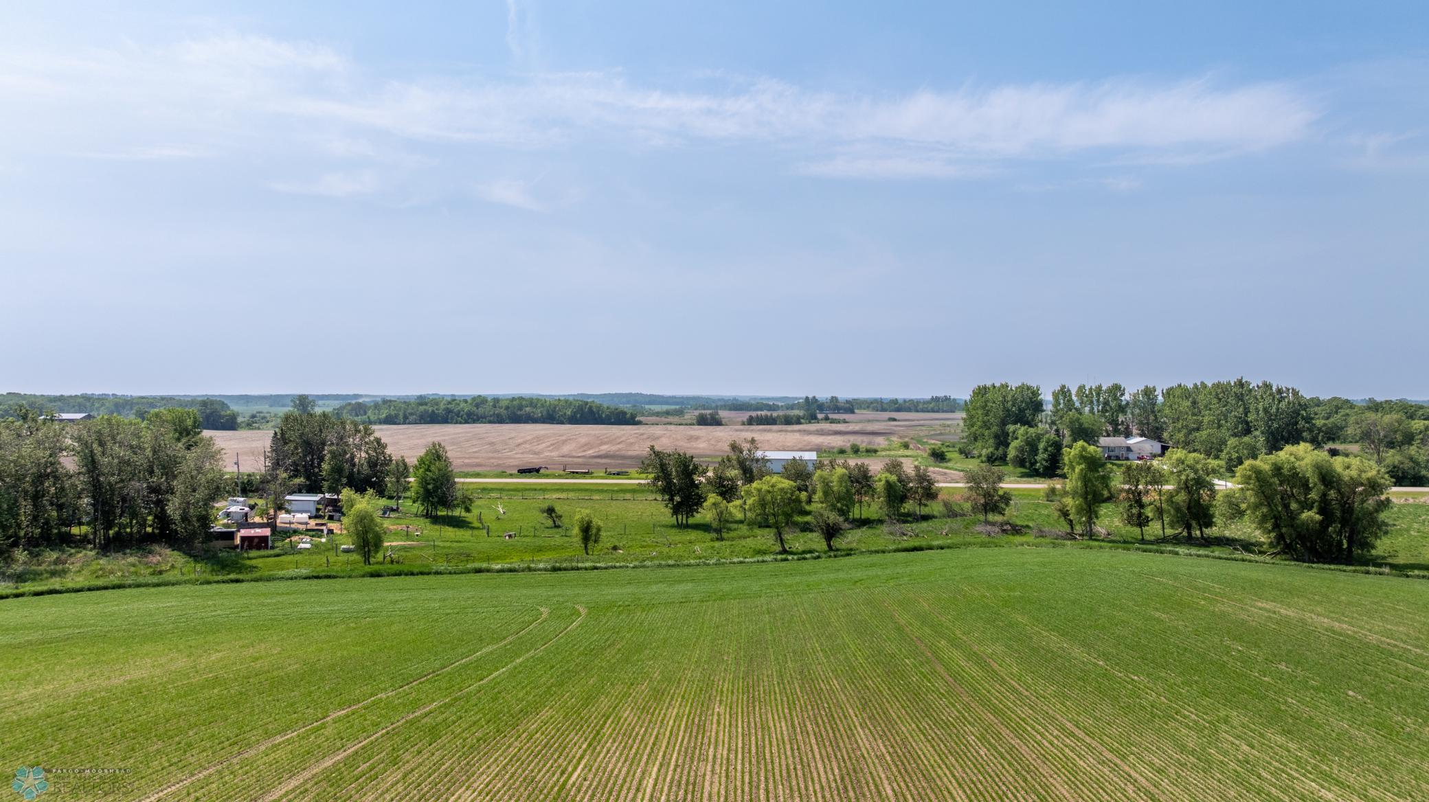 Amdak__Fosston MN - Land_0030.jpg
