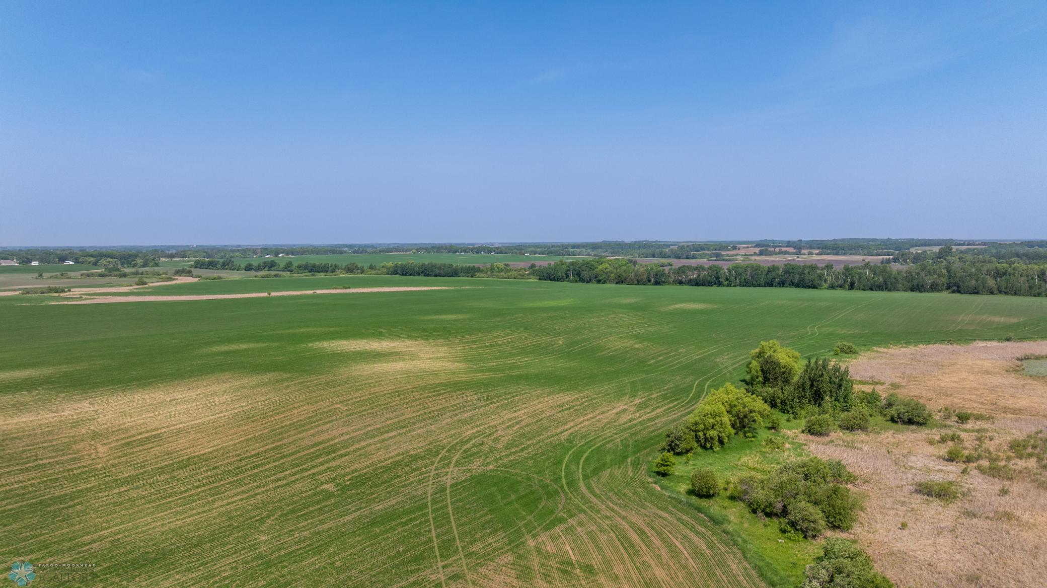 Amdak__Fosston MN - Land_0042.jpg