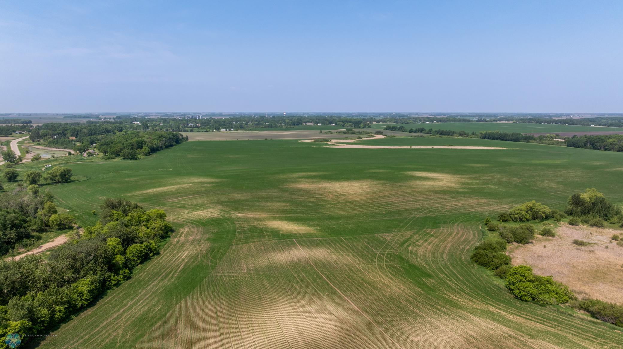 Amdak__Fosston MN - Land_0044.jpg
