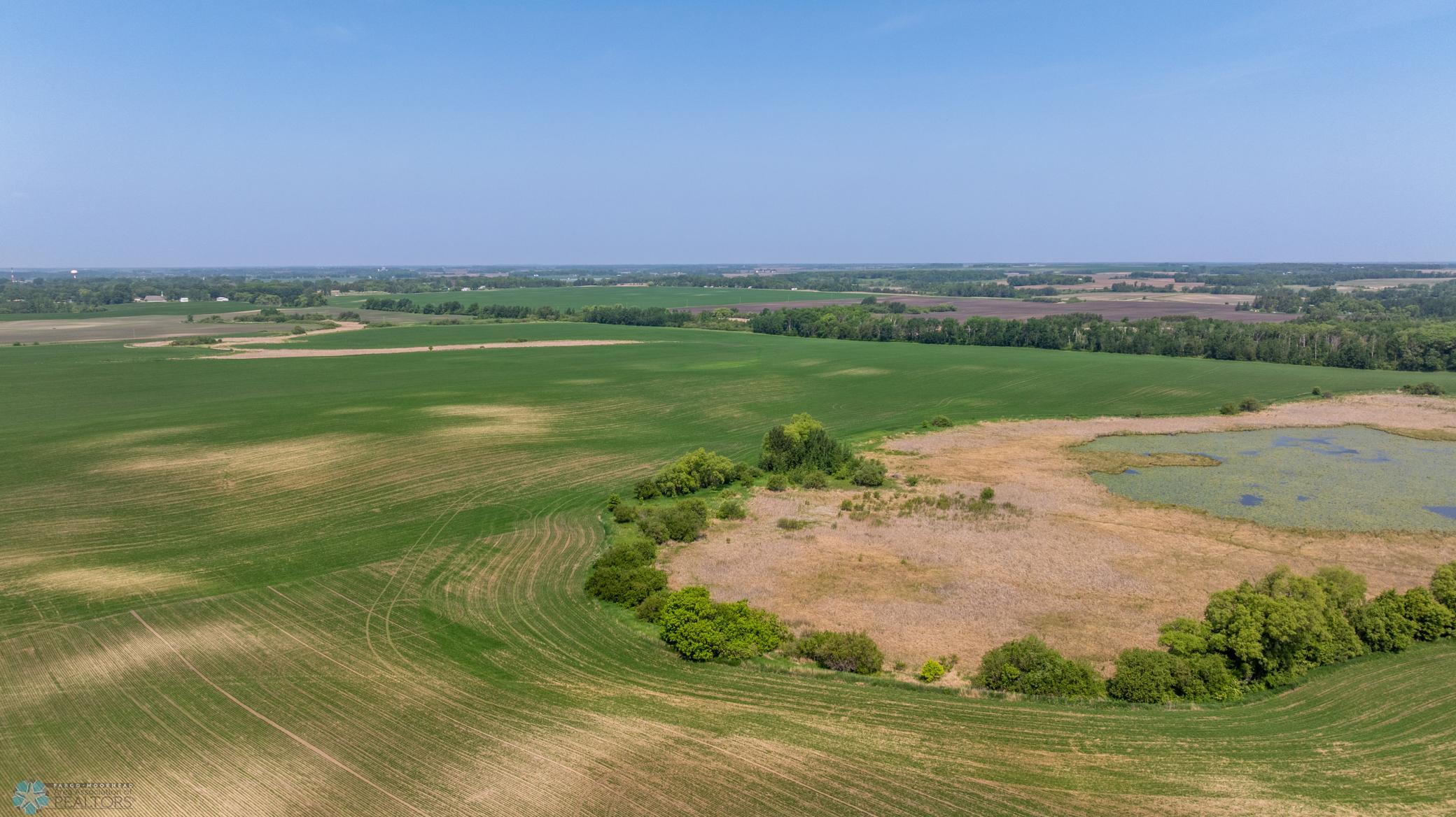 Amdak__Fosston MN - Land_0045.jpg