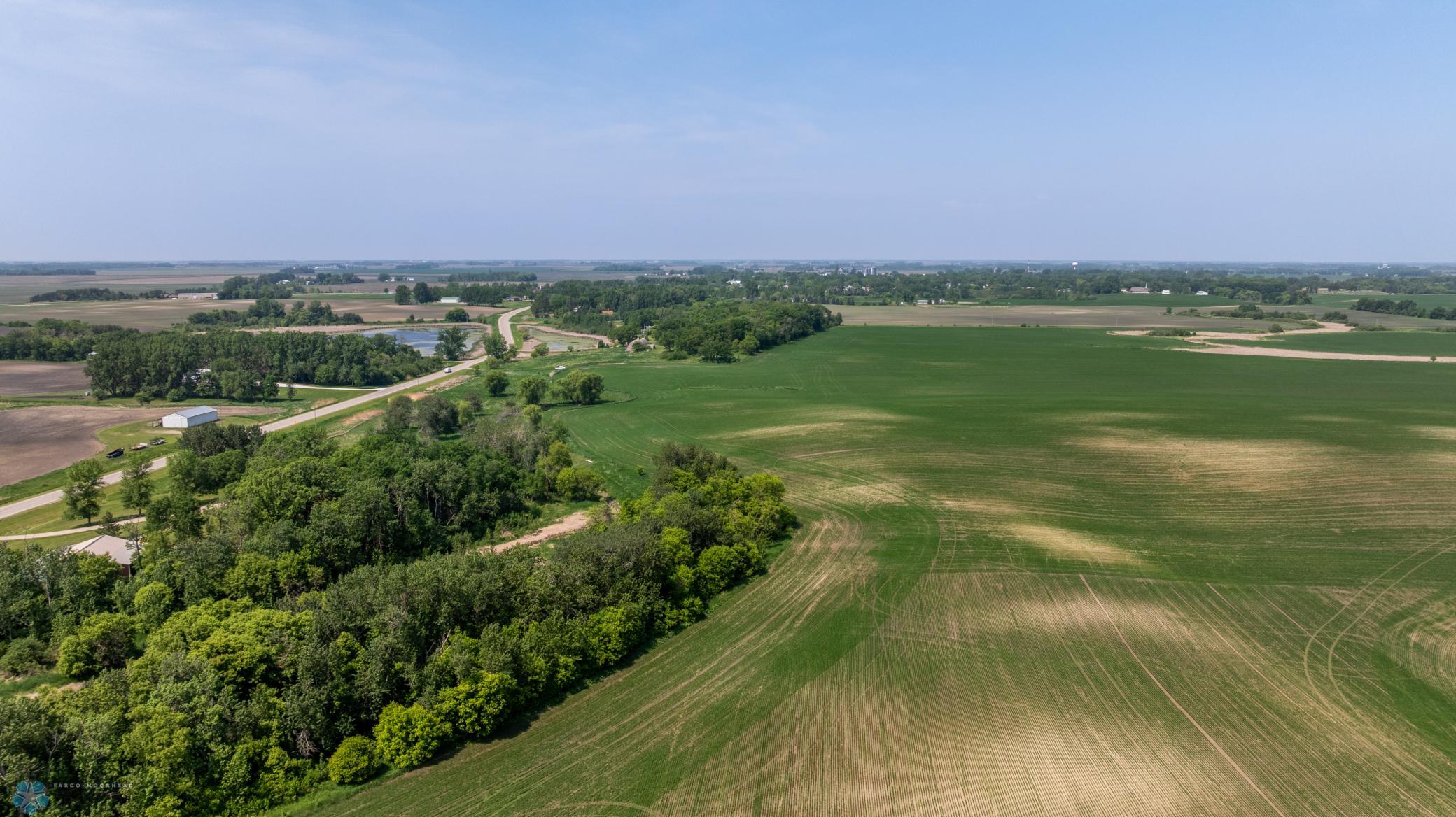 Amdak__Fosston MN - Land_0043.jpg