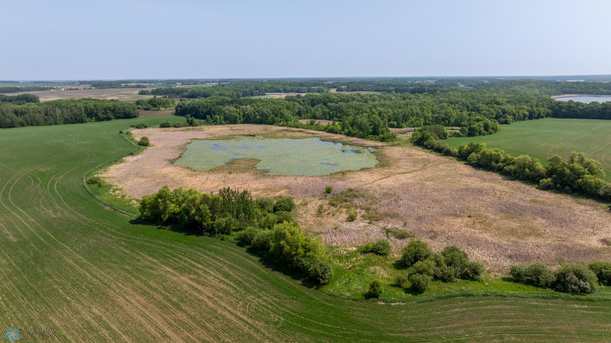 Amdak__Fosston MN - Land_0040.jpg