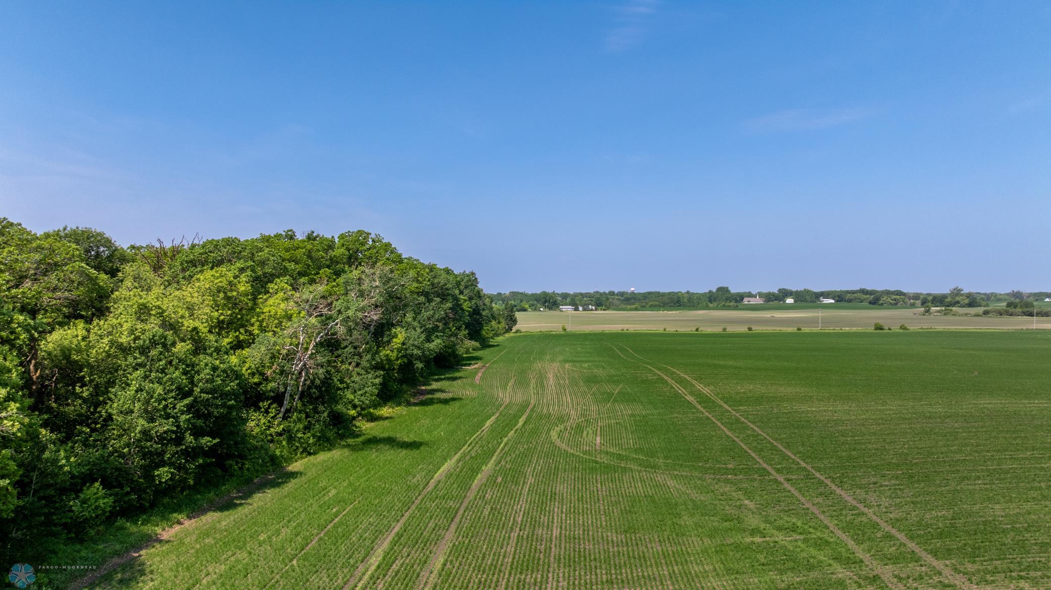 Amdak__Fosston MN - Land_0031.jpg