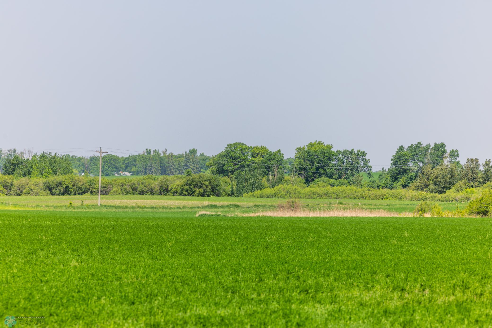 Amdak__Fosston MN - Land_0022.jpg