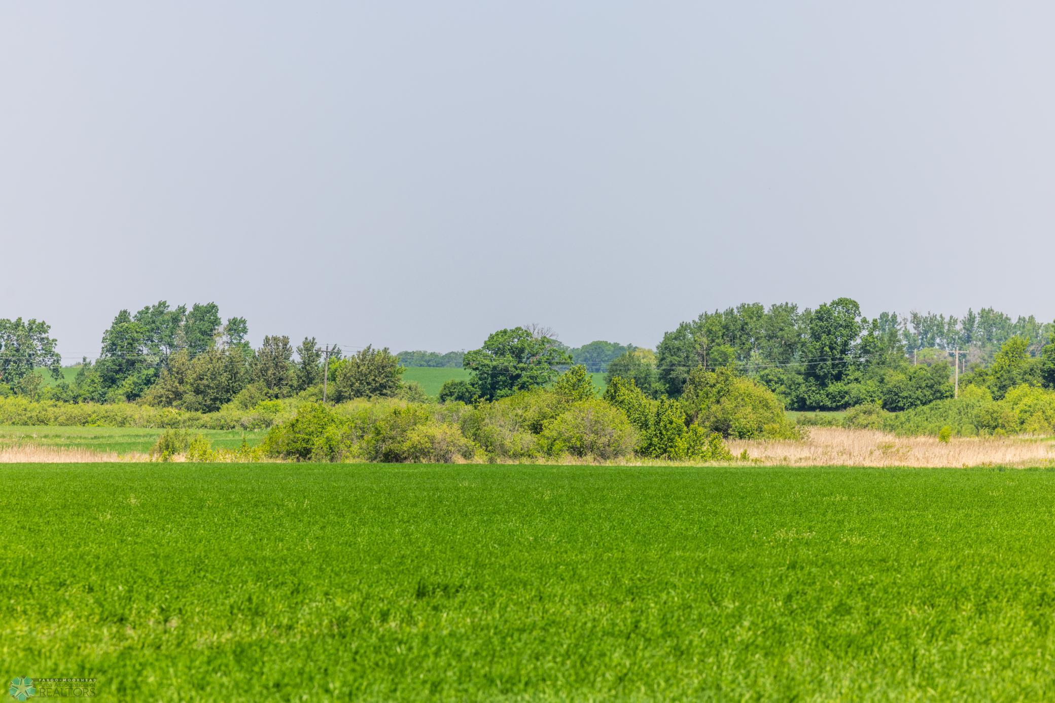Amdak__Fosston MN - Land_0021.jpg