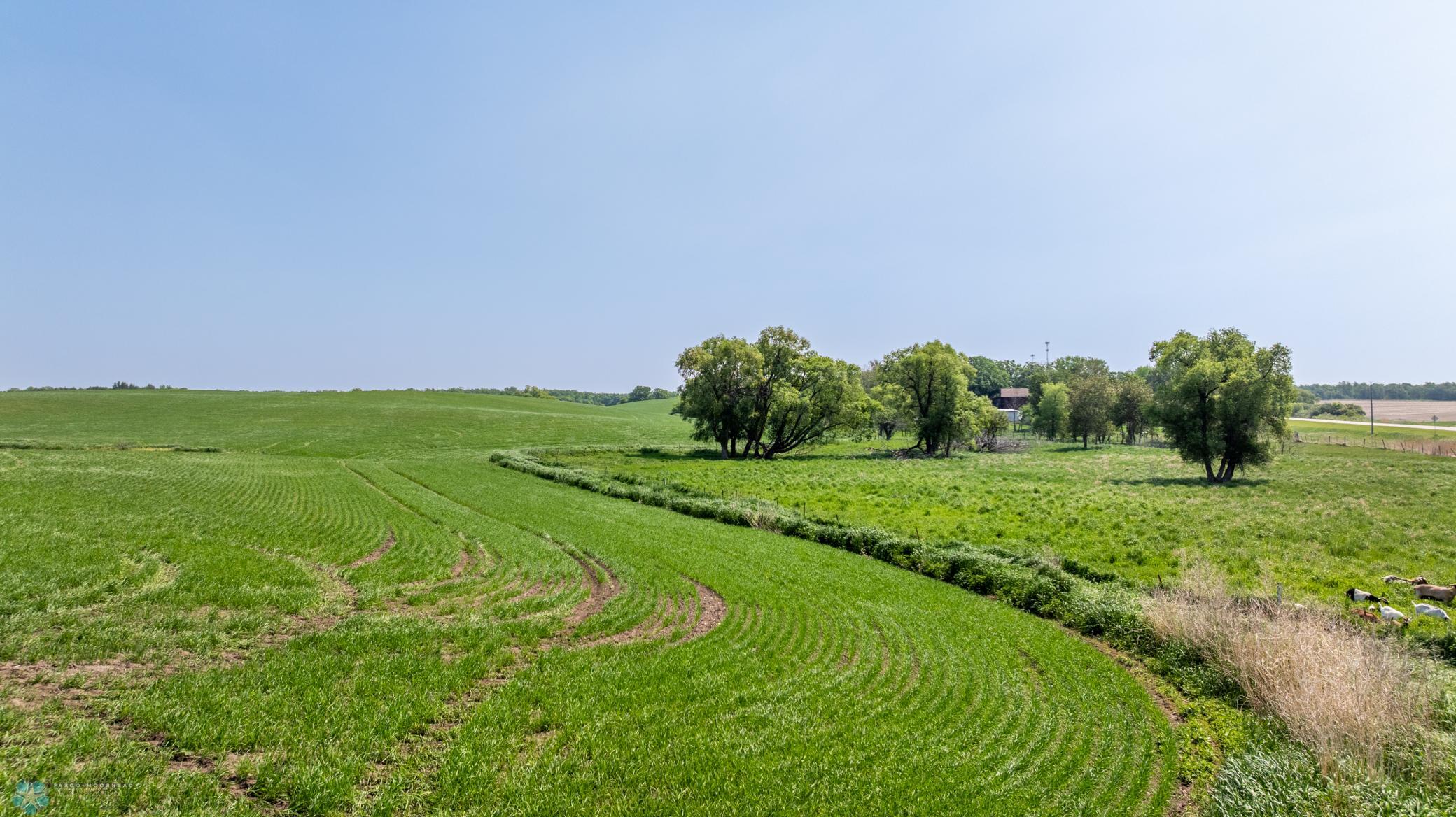 Amdak__Fosston MN - Land_0027.jpg