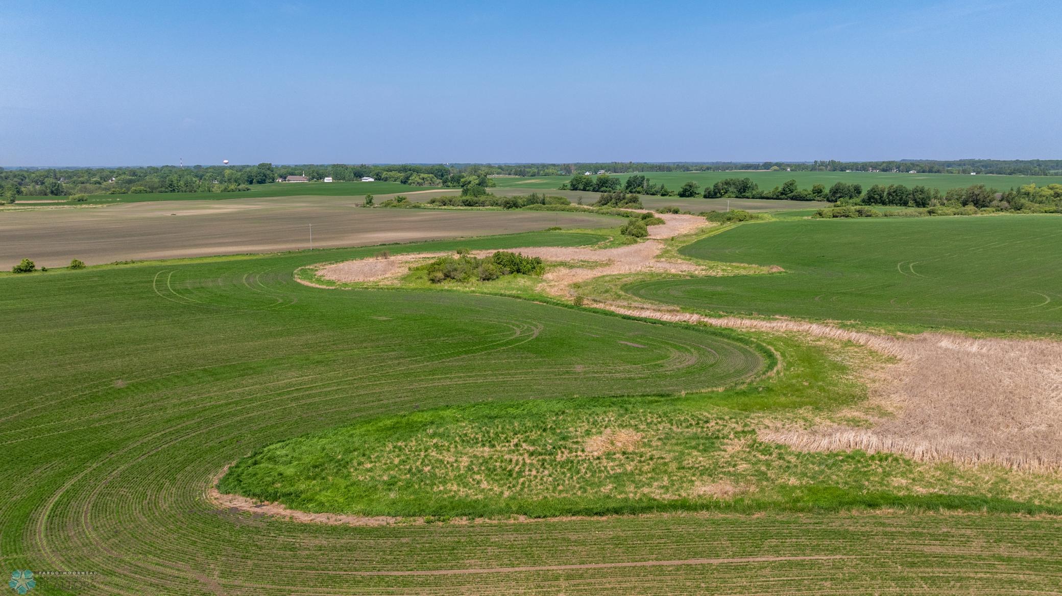 Amdak__Fosston MN - Land_0034.jpg