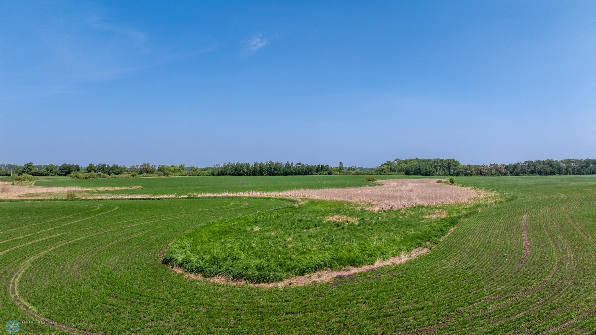 Amdak__Fosston MN - Land_0033.jpg