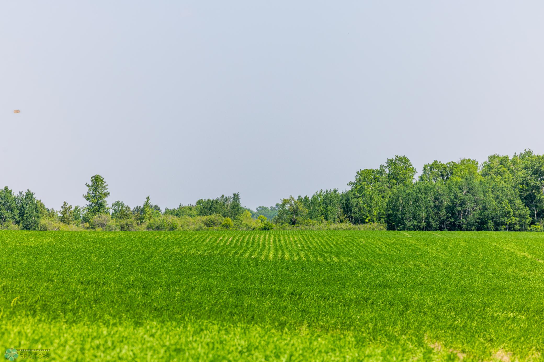 Amdak__Fosston MN - Land_0017.jpg