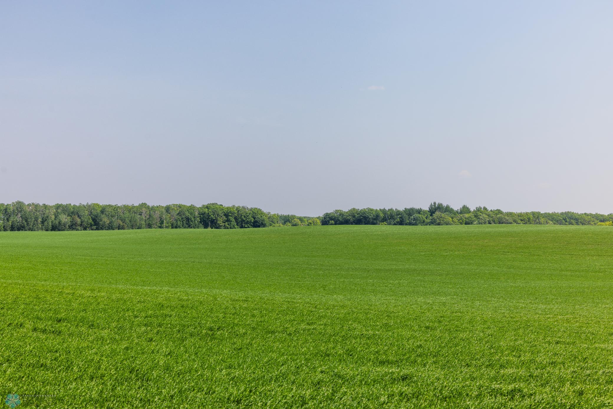 Amdak__Fosston MN - Land_0023.jpg