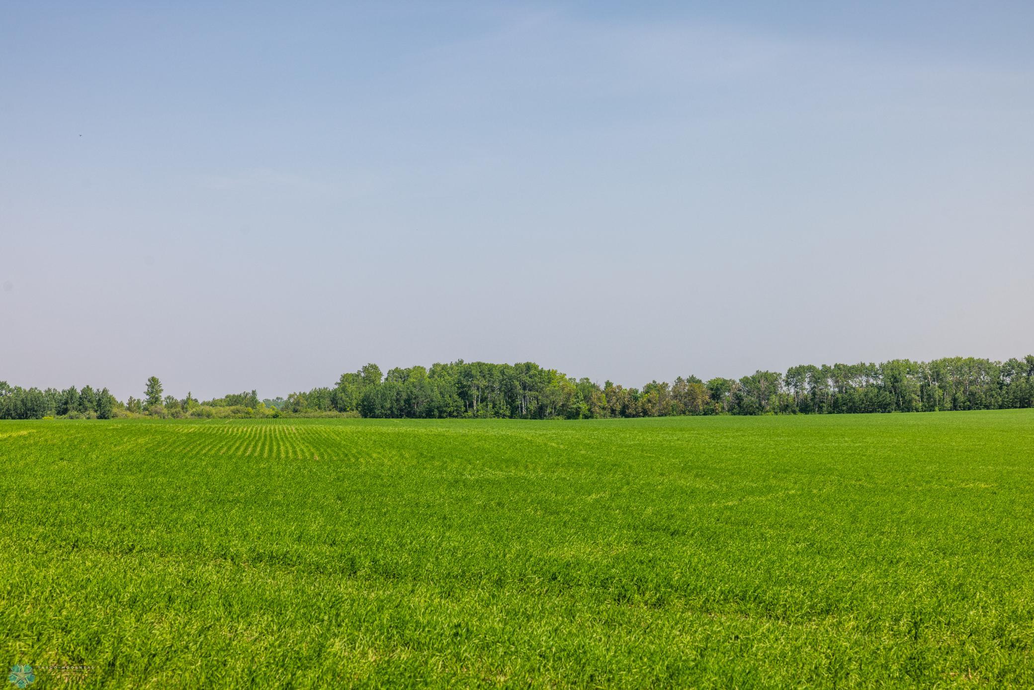 Amdak__Fosston MN - Land_0008.jpg
