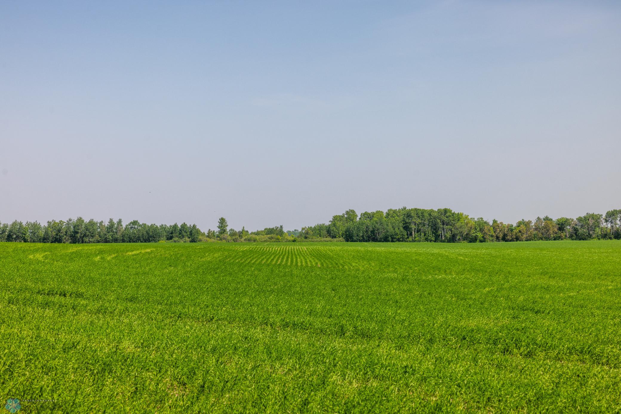 Amdak__Fosston MN - Land_0009.jpg