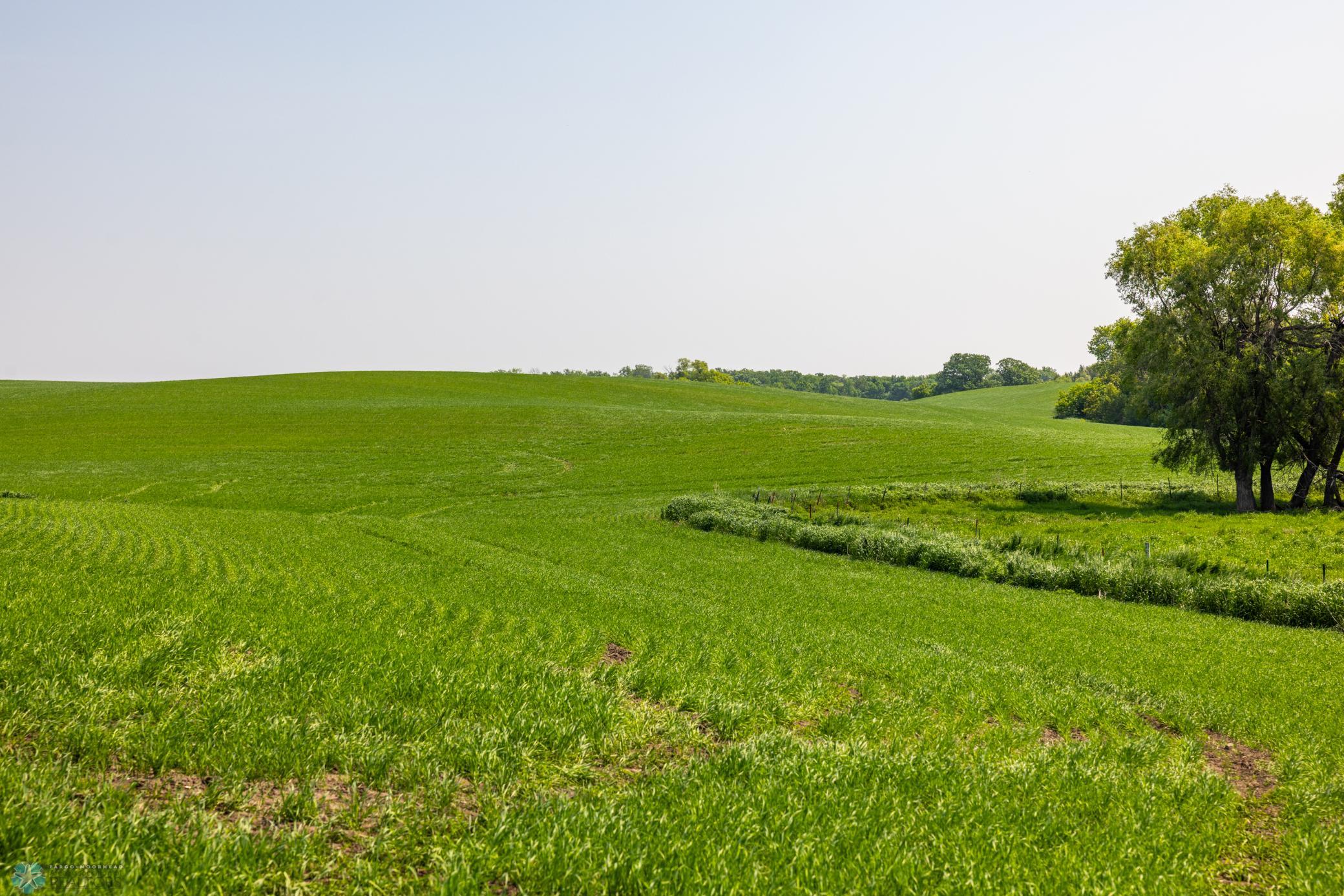Amdak__Fosston MN - Land_0002.jpg