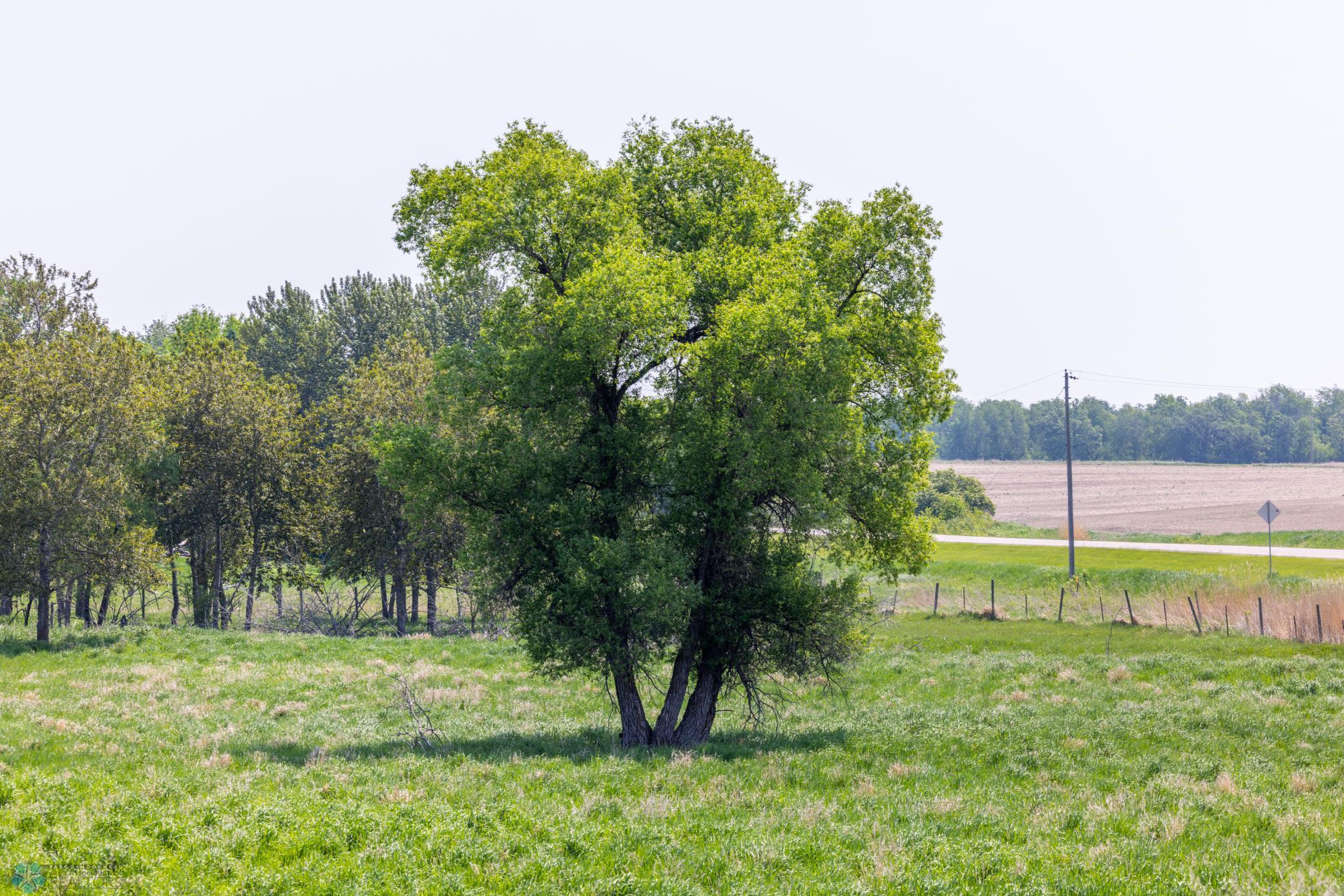 Amdak__Fosston MN - Land_0014.jpg
