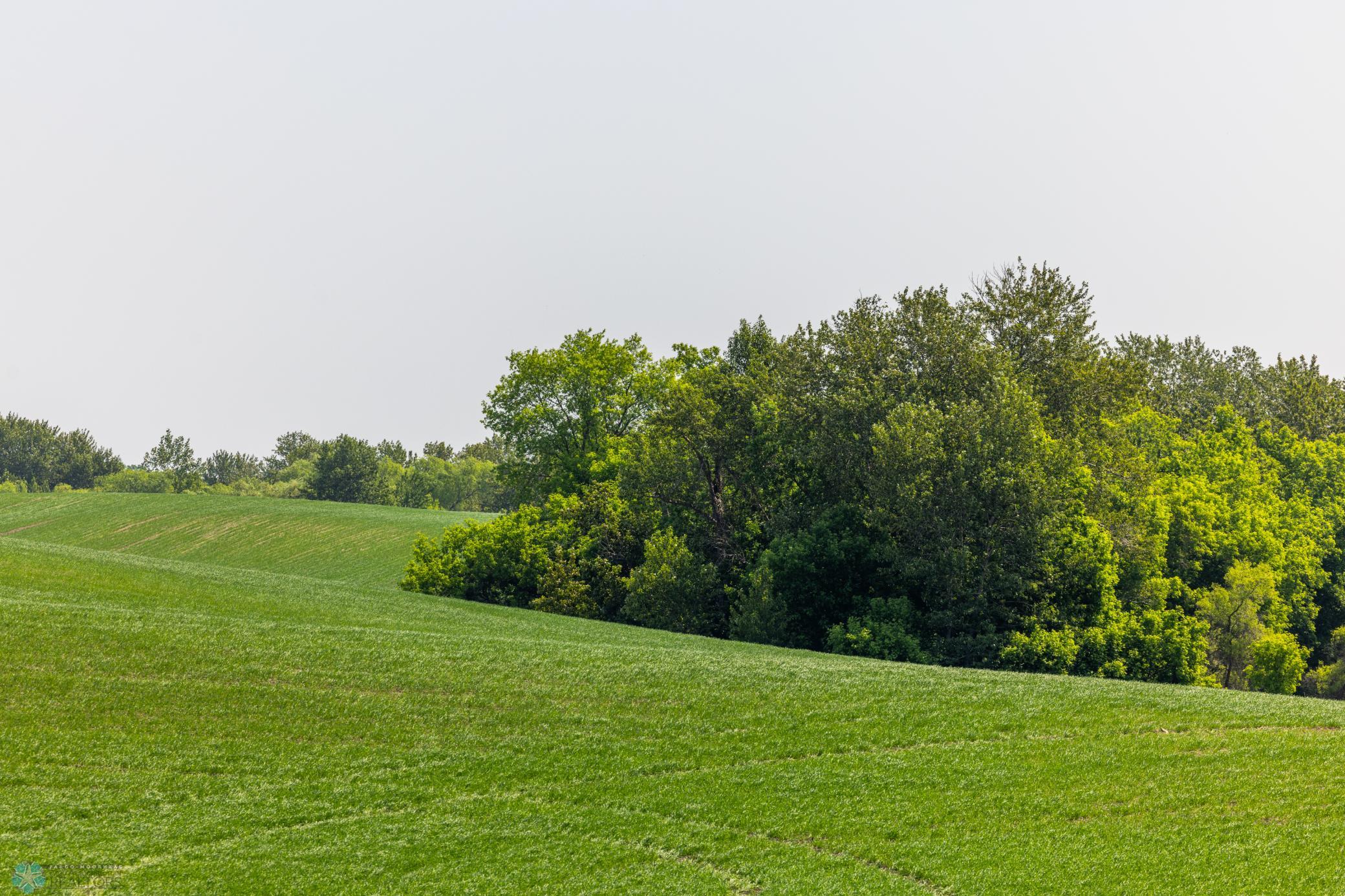 Amdak__Fosston MN - Land_0018.jpg