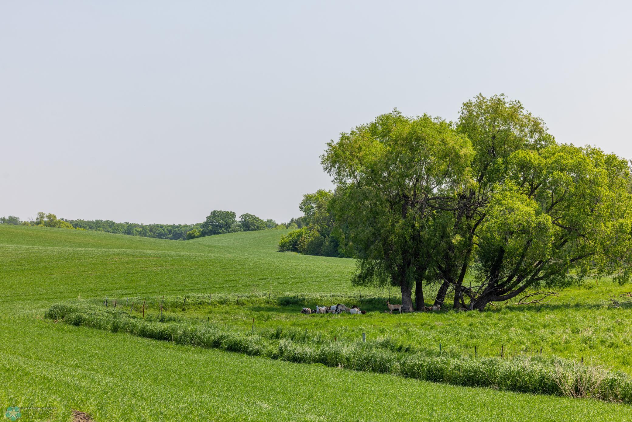 Amdak__Fosston MN - Land_0013.jpg