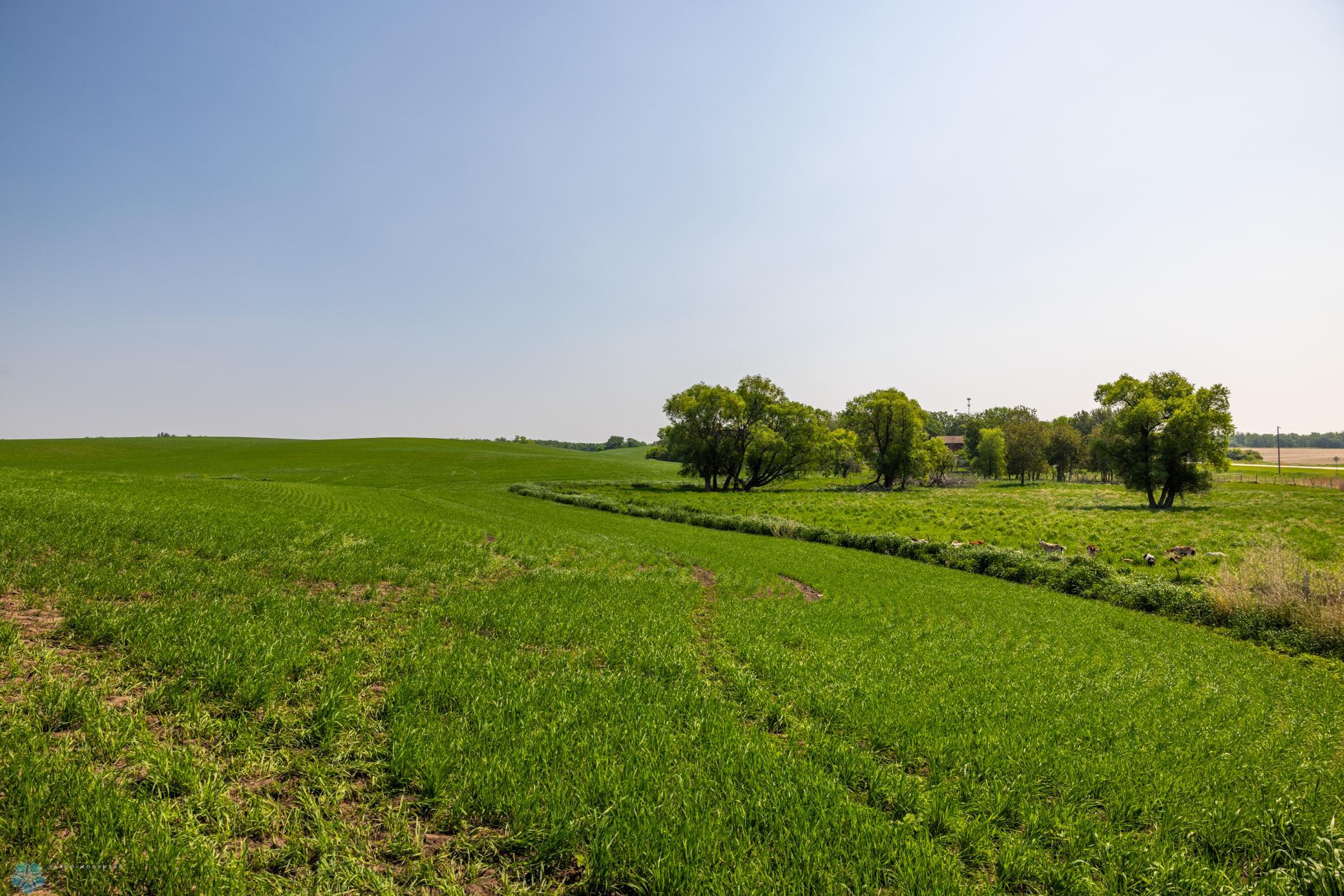Amdak__Fosston MN - Land_0003.jpg