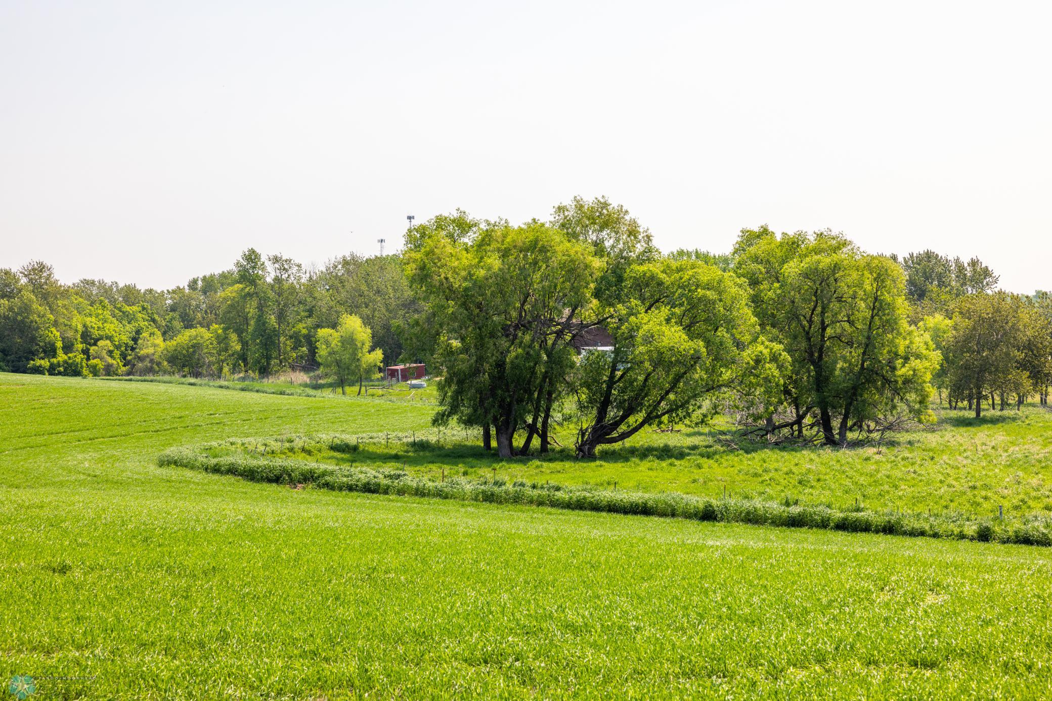 Amdak__Fosston MN - Land_0005.jpg