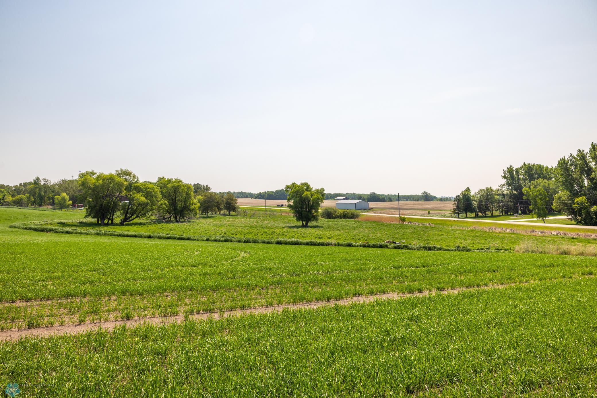 Amdak__Fosston MN - Land_0006.jpg
