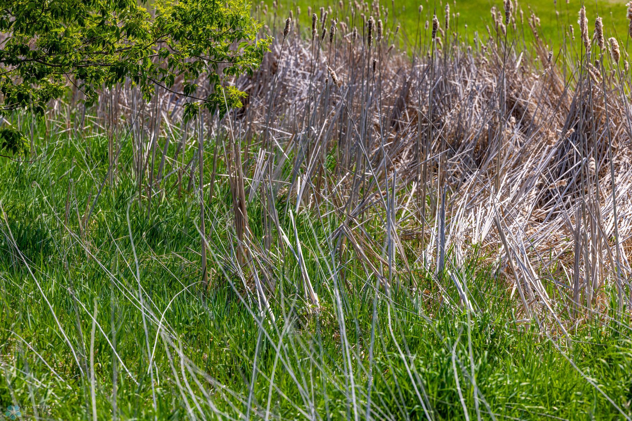 Amdak__Fosston MN - Land_0025.jpg