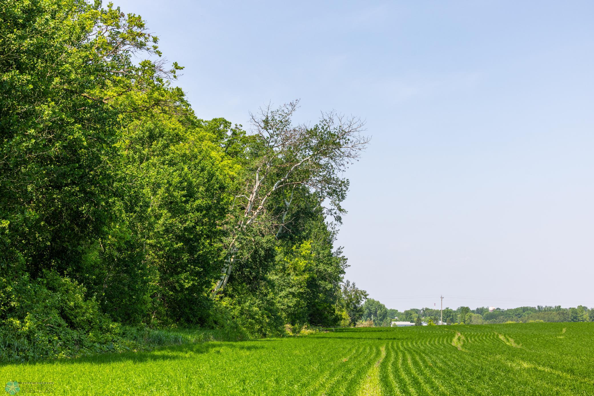 Amdak__Fosston MN - Land_0019.jpg
