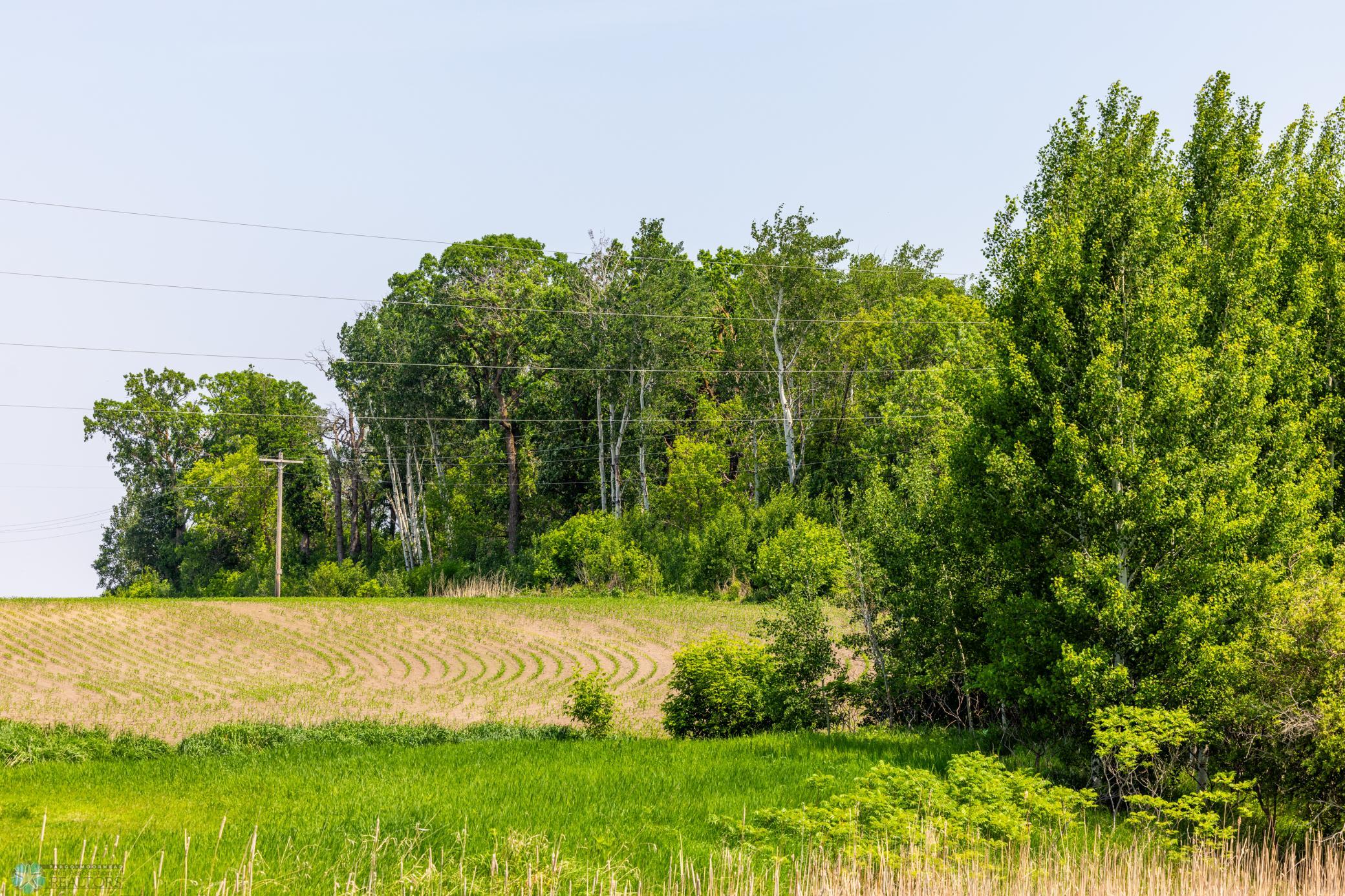 Amdak__Fosston MN - Land_0026.jpg