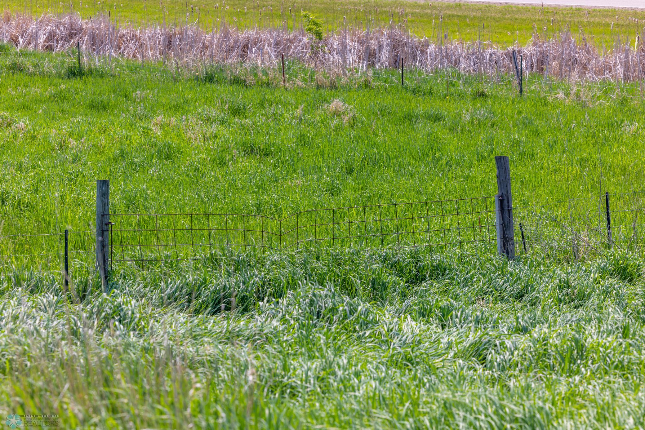 Amdak__Fosston MN - Land_0015.jpg