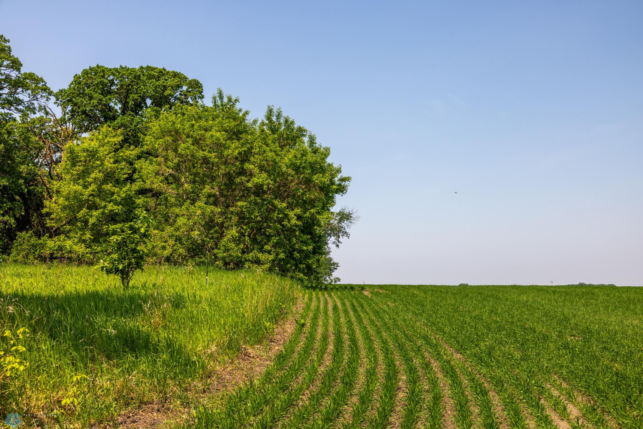 Amdak__Fosston MN - Land_0010.jpg