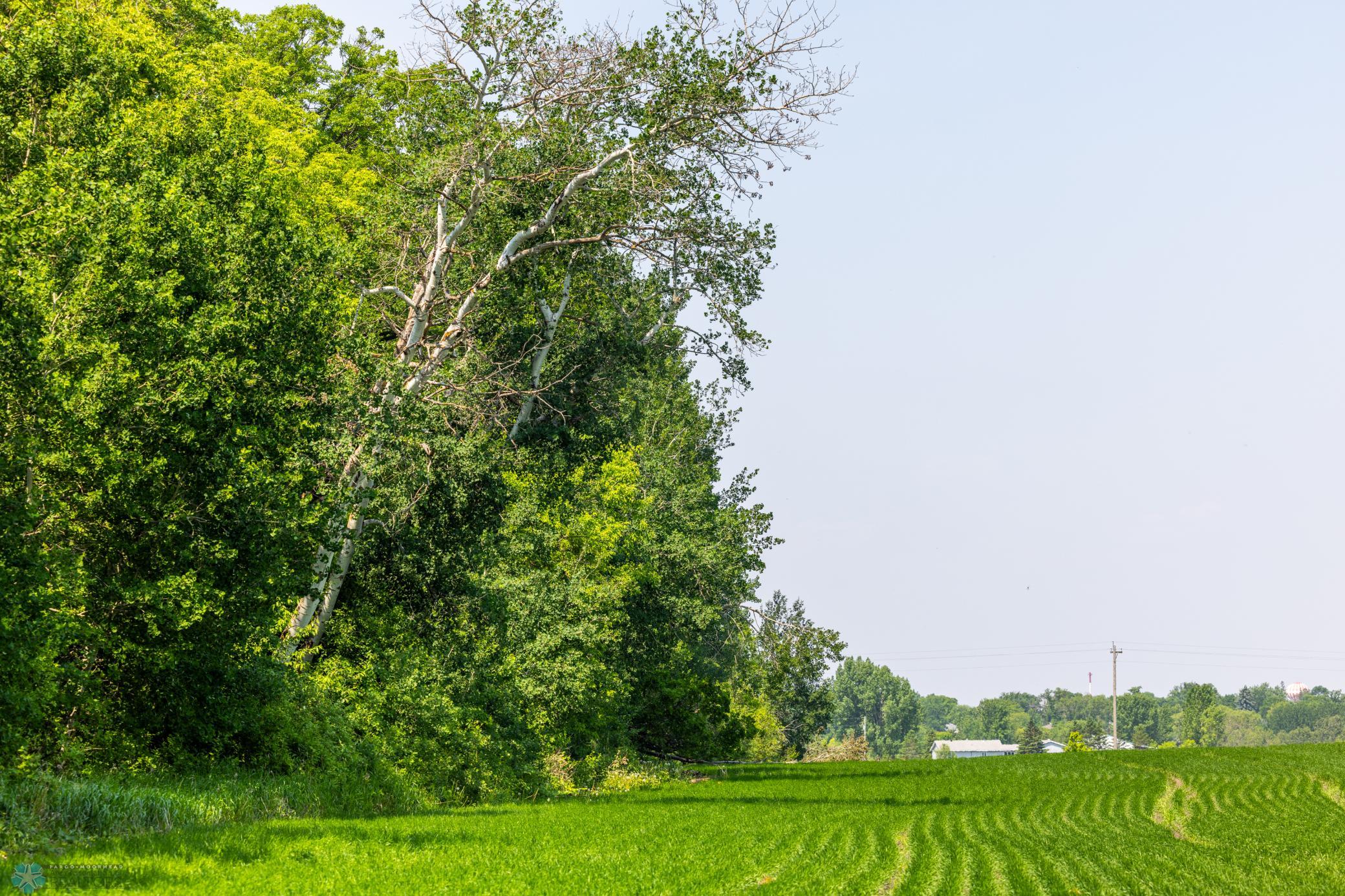 Amdak__Fosston MN - Land_0020.jpg